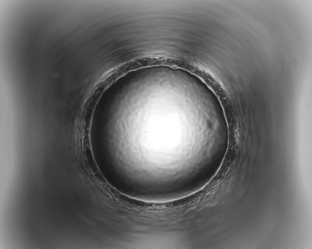 X0000096420968200801311409