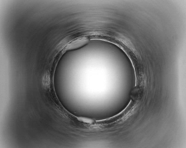 X0000096420969200801311409