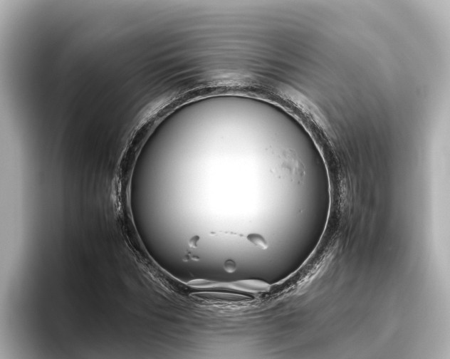 X0000096420970200801311409