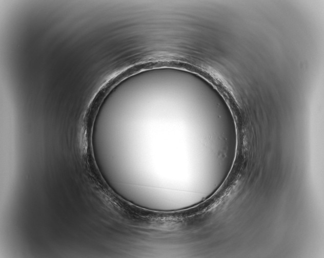 X0000096420973200801311409