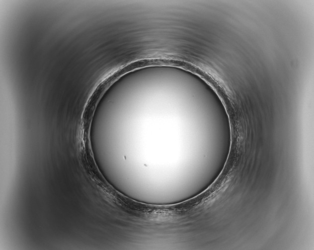 X0000096420974200801311409