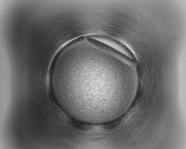 X0000096420975200801311409
