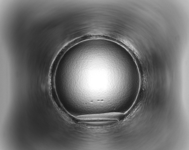 X0000096420976200801311409