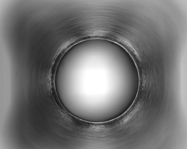 X0000096420978200801311409