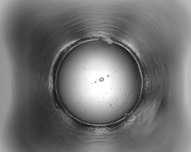 X0000096420979200801311409