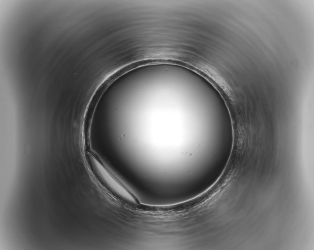 X0000096420980200801311409
