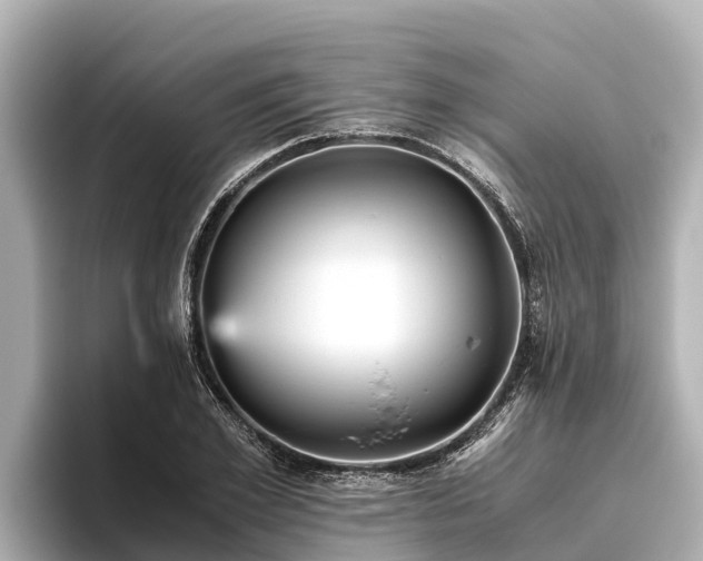 X0000096420981200801311409
