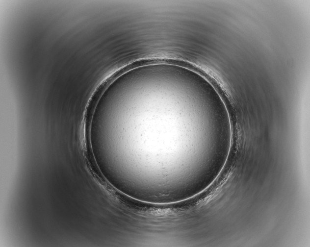 X0000096420982200801311409