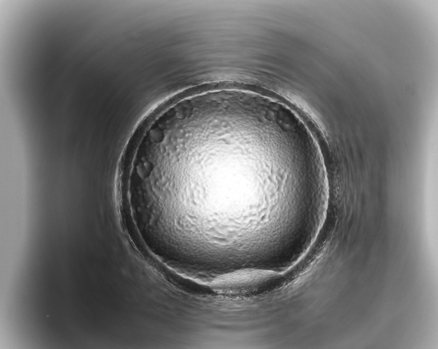 X0000096420983200801311409