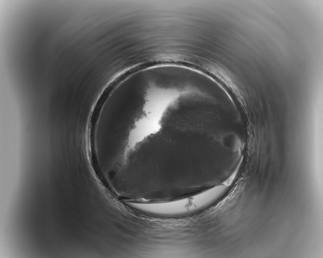 X0000096420984200801311409