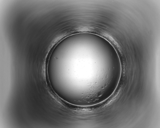 X0000096420986200801311409