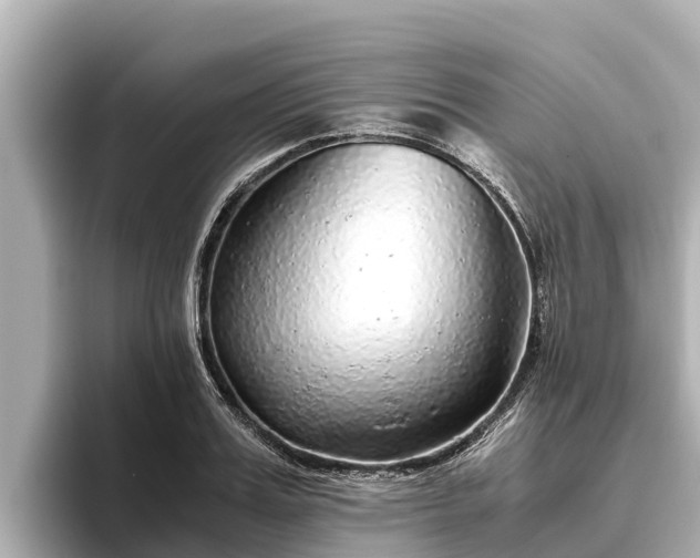 X0000096420987200801311409