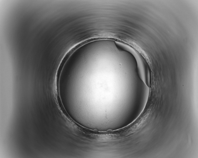 X0000096420988200801311409