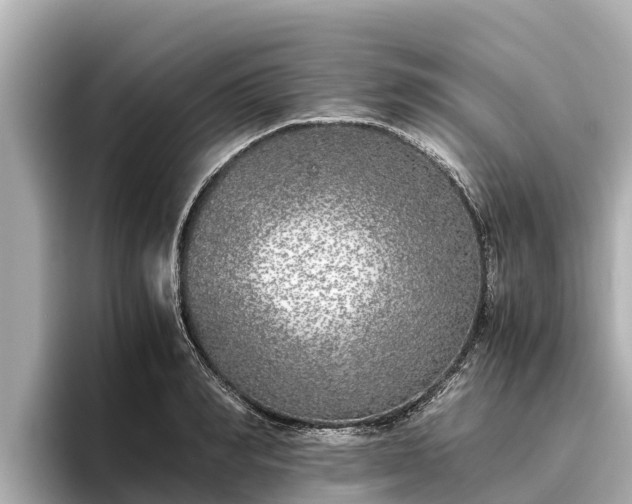 X0000096420990200801311409