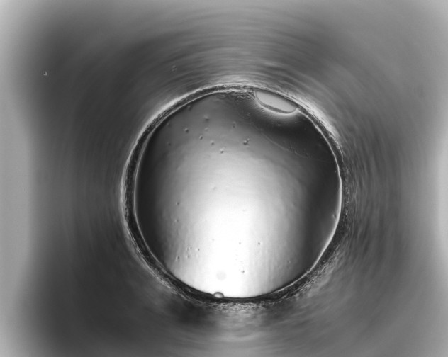 X0000096420991200801311409