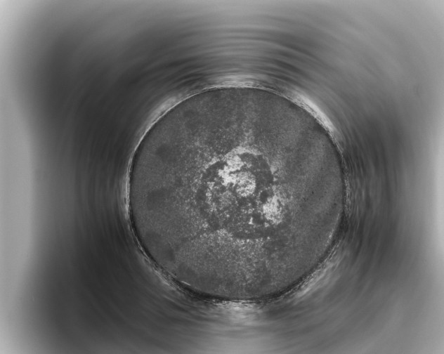 X0000096420994200801311409
