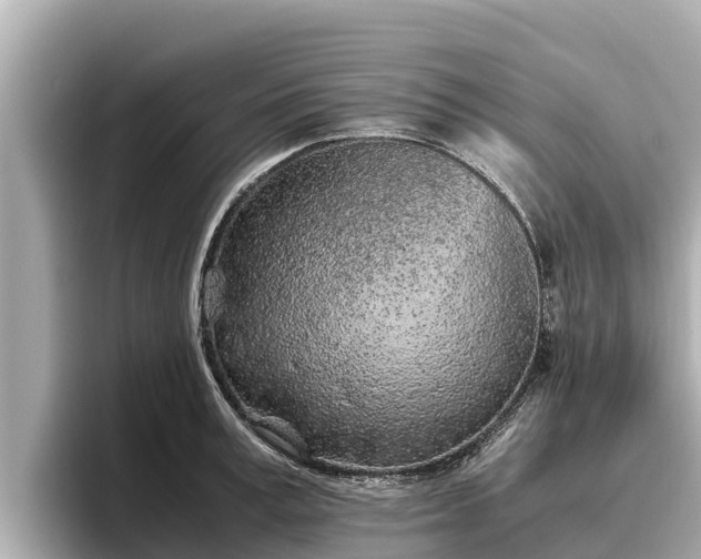 X0000096420995200801311409