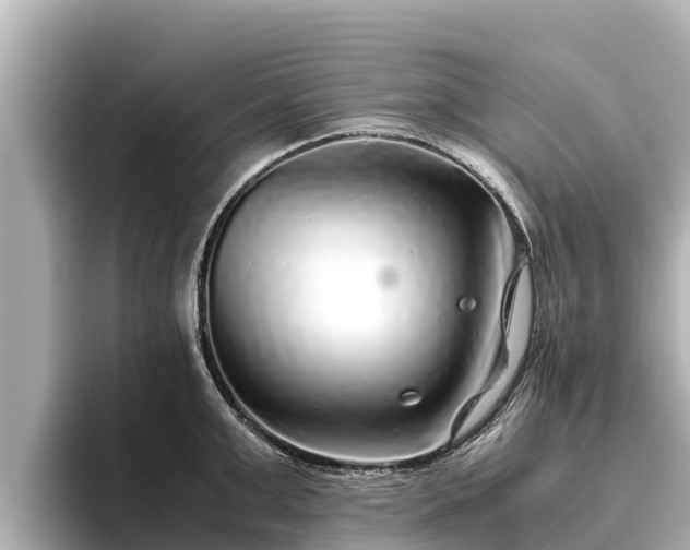 X0000096420999200801311408