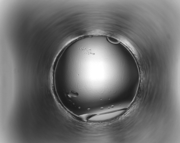 X0000096421000200801311408