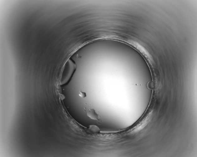 X0000096421001200801311408