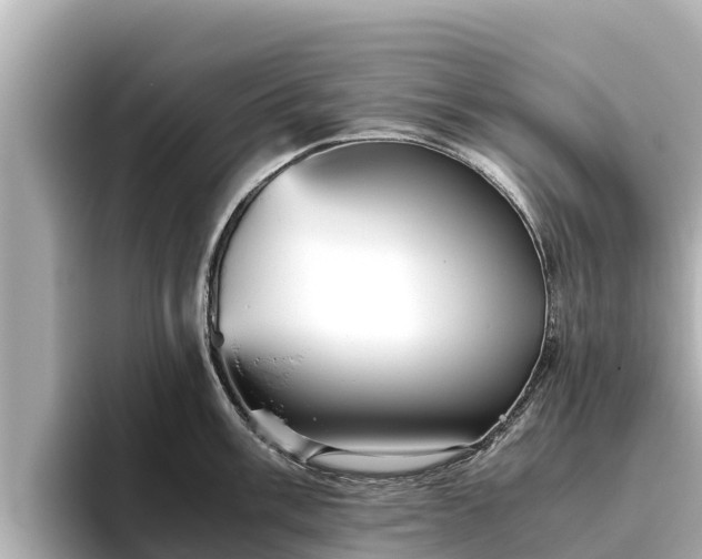 X0000096421003200801311408