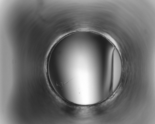 X0000096421005200801311408