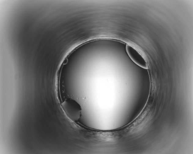 X0000096421006200801311408