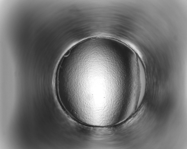 X0000096421007200801311408