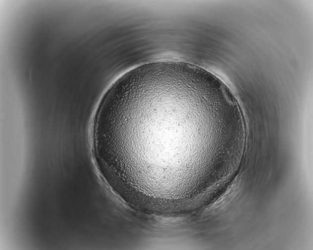 X0000096421008200801311408