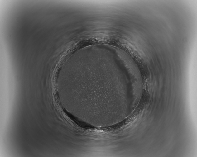 X0000096421009200801311408