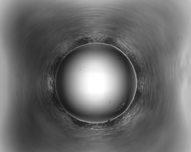 X0000096421010200801311408