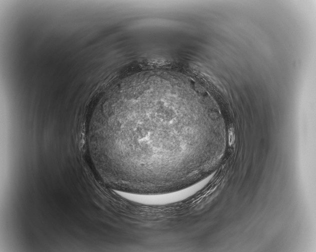 X0000096421011200801311408