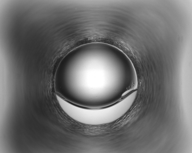 X0000096421012200801311408