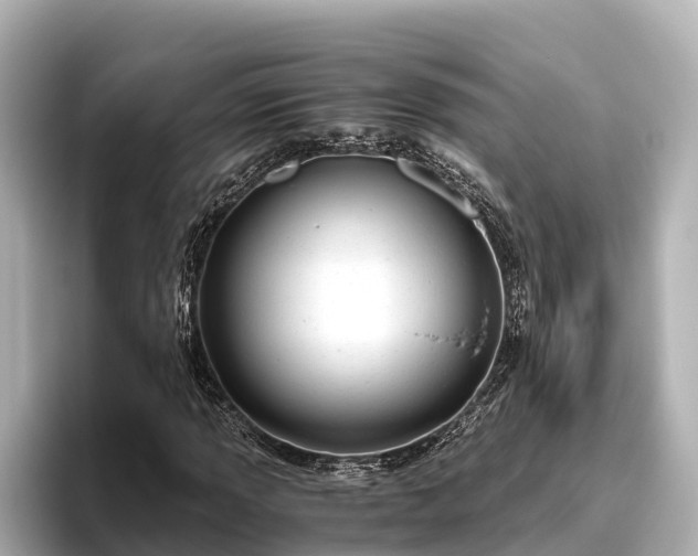 X0000096421013200801311408