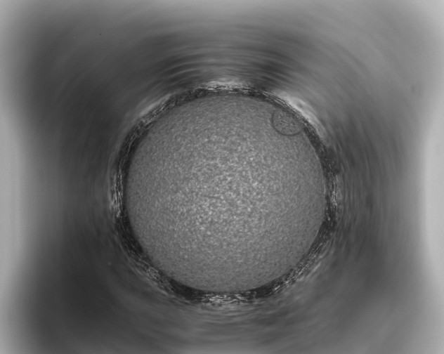 X0000096421015200801311408