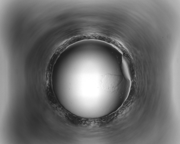 X0000096421016200801311408