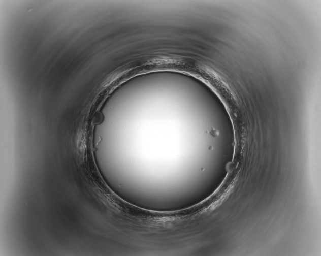 X0000096421017200801311408