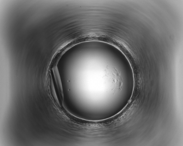 X0000096421018200801311408