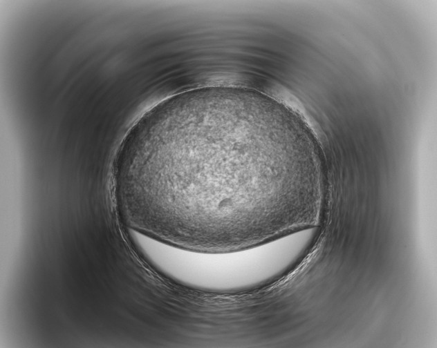 X0000096421019200801311408