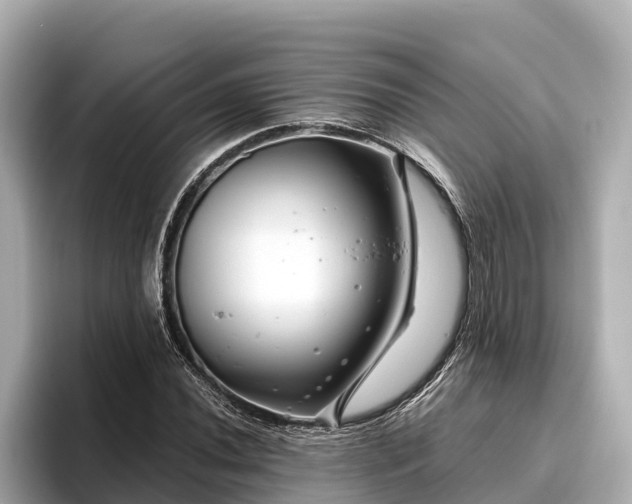 X0000096421020200801311408