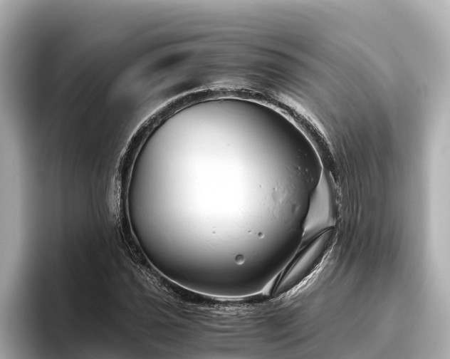 X0000096421021200801311408