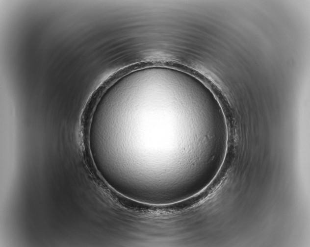 X0000096421022200801311408