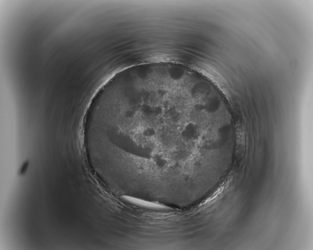 X0000096421023200801311408