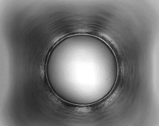 X0000096421025200801311408