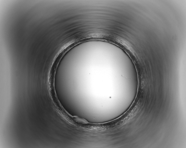 X0000096421026200801311408