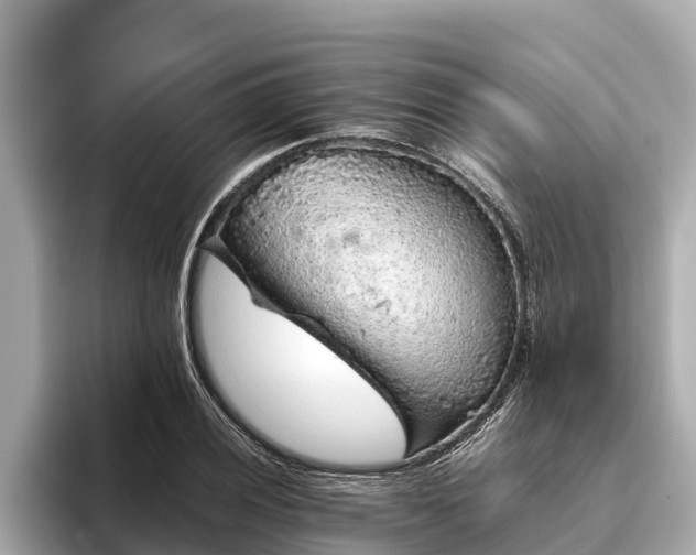 X0000096421028200801311408