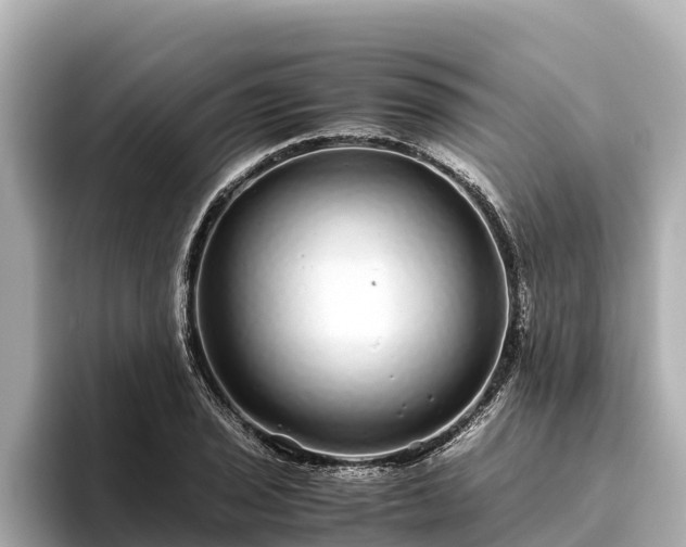 X0000096421029200801311408