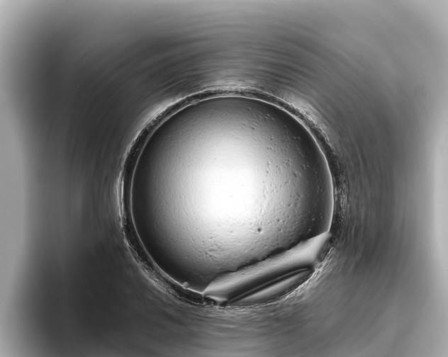 X0000096421030200801311408