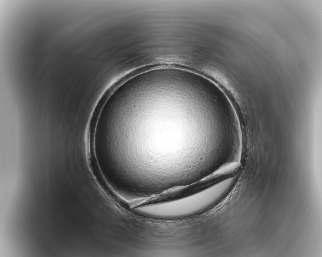 X0000096421032200801311408