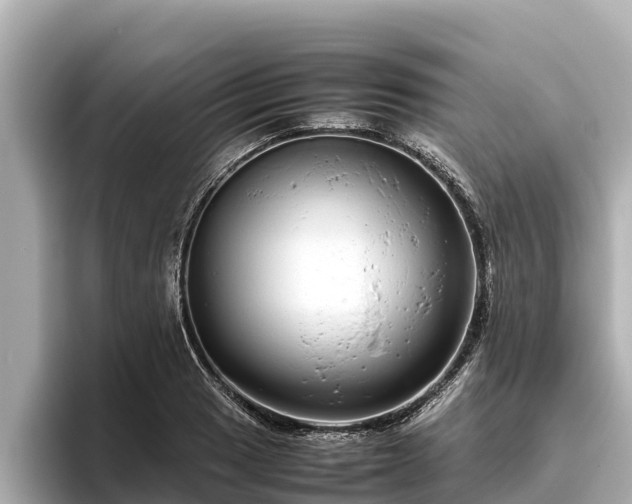 X0000096421033200801311408